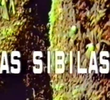 As Sibilas