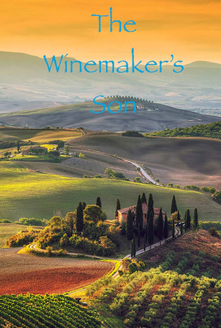Poster 1 de Filme The Winemaker's Son (2019)