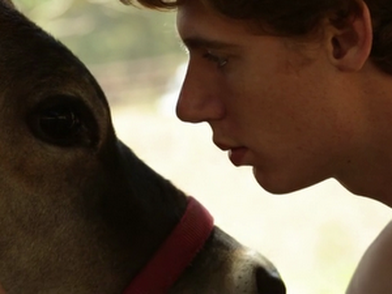 Foto 2 de Brookton Hollow