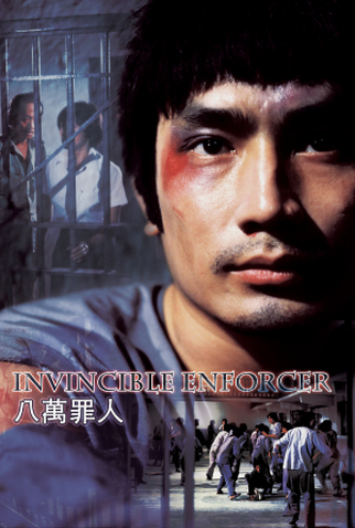 Poster 1 de Filme Invincible Enforcer (1979)