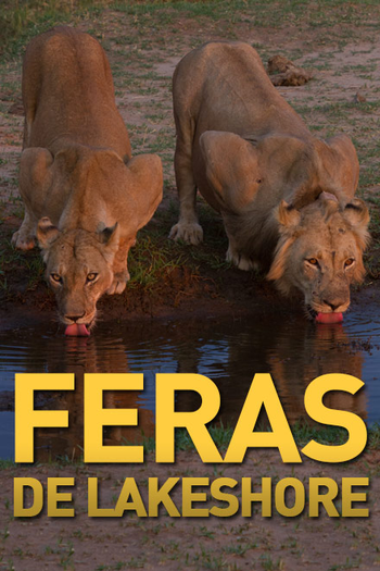 Poster de Série Feras de Lakeshore (2016)
