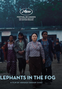 Elephants in the Fog (Elephants in the Fog)