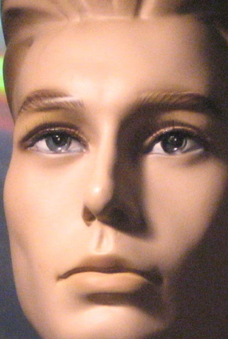 Poster 1 de Curta The Realist (2013)