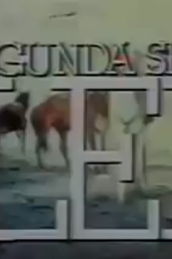 Poster de TV Segunda Sem Lei (1986)