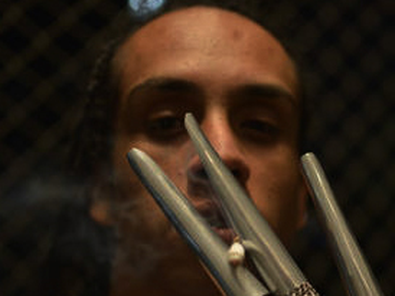 Foto 2 de Bixa Travesty