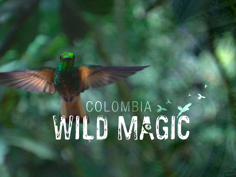 Foto 1 de Colombia Wild Magic