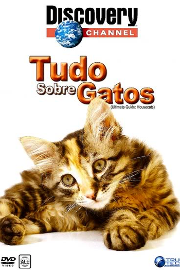 Poster de Filme Tudo Sobre Gatos (2000)