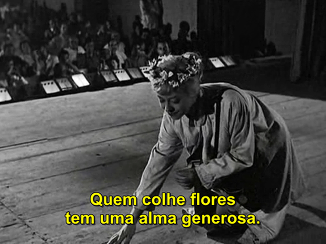 Ana Ferreira - Foto 6
