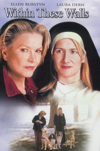 Poster de Filme Uma Última Chance (2001)