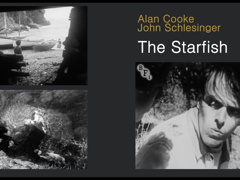 Foto 2 de The Starfish