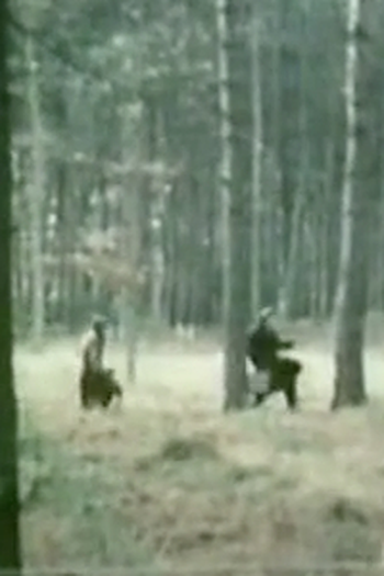 Poster de Episódio Gone Away (2) (1973)