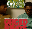 Caged Birds