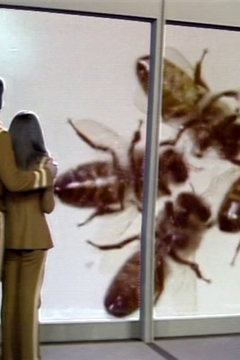 Poster de Episódio The Beehive (1974)