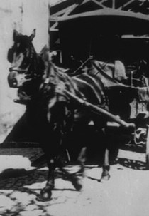 A Saída dos Operários da Fábrica Lumière, [II] (Sortie d’usine, [III])