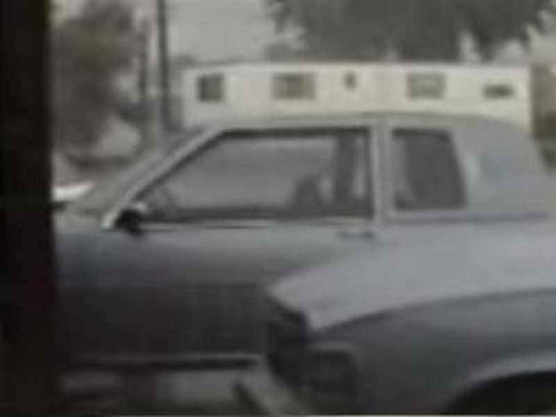 Foto 1 de Weather Diary 1