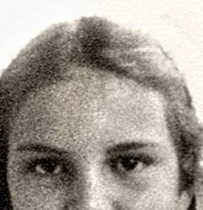 Elke Maravilha - Foto 6