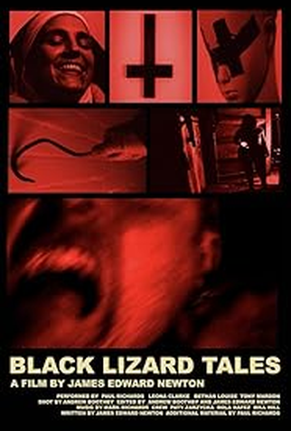 Poster 1 de Filme Black Lizard Tales (2020)