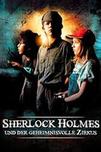 Poster de Filme Em Nome de Sherlock Holmes  (2011)