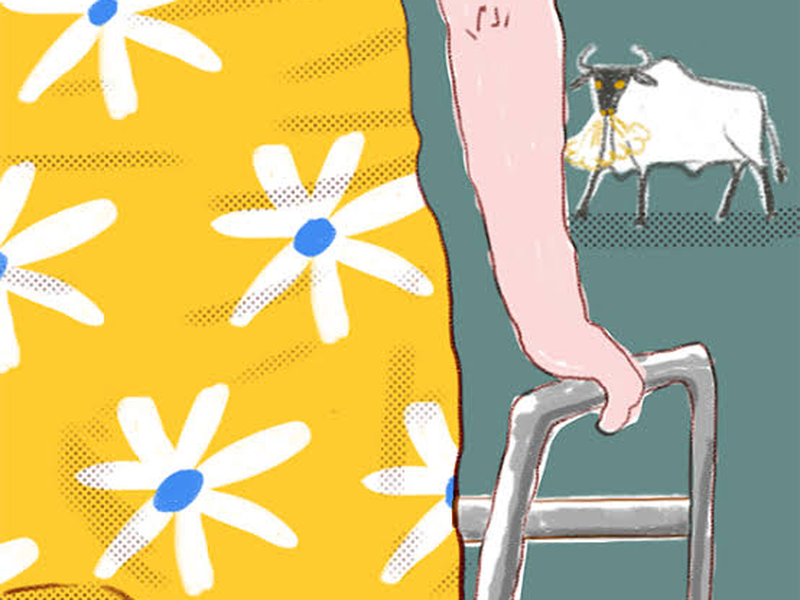 Foto 1 de Eu, a Vó e a Boi