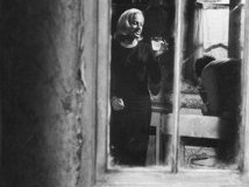 Foto 4 de De Volta das Cinzas