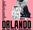 Orlando, Minha Biografia Política