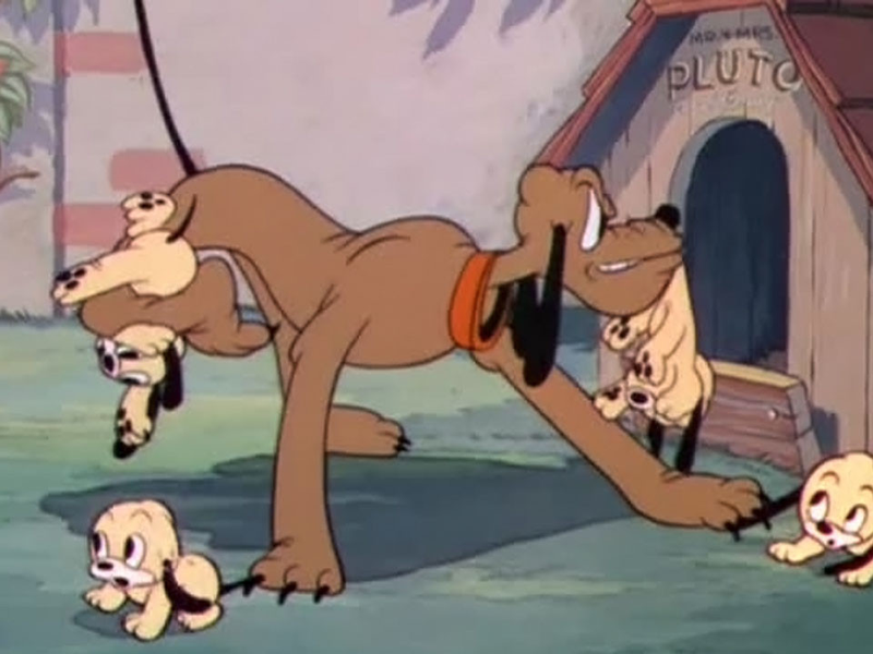 Foto 1 de Pluto's Quin-puplets