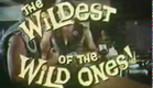 Wild Rebels (1967) trailer