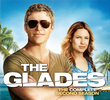 The Glades (2ª Temporada)
