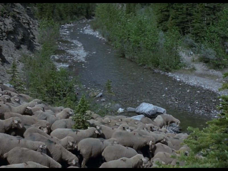 Foto 7 de O Segredo de Brokeback Mountain
