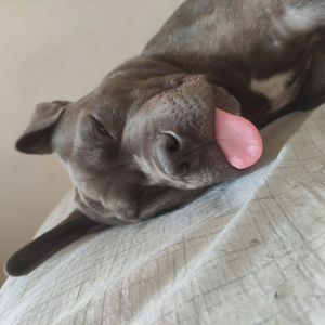 Foto de perfil de Let