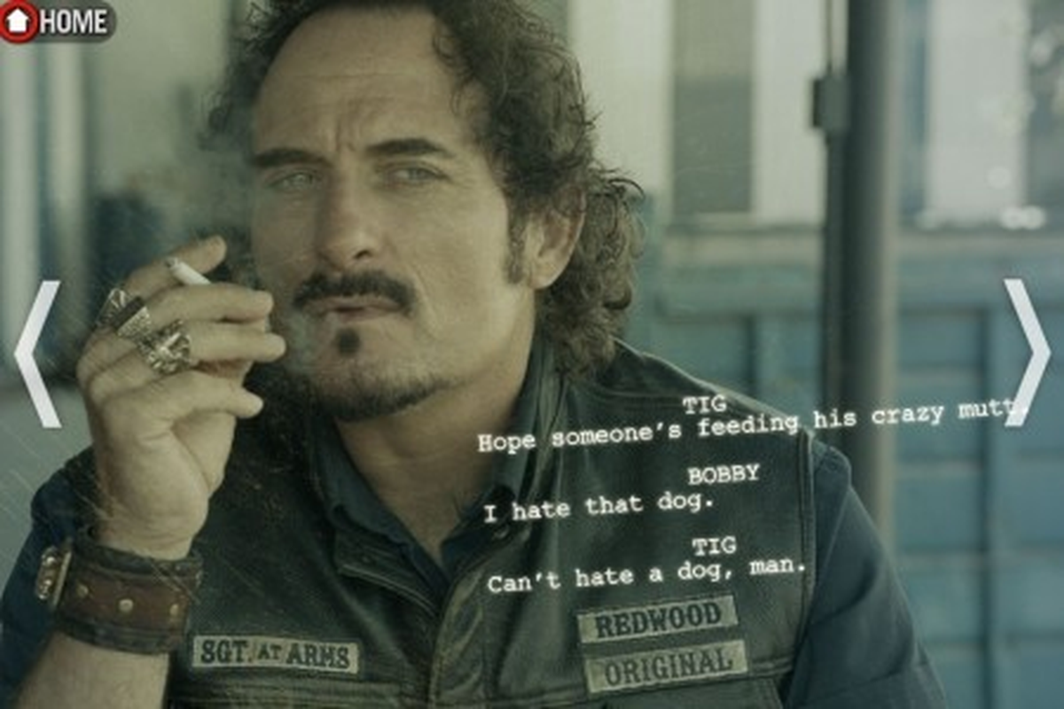 André Vitor Torres Hilgert - Foto 1