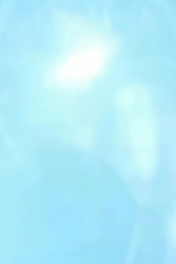 Poster de Episódio 動物園 (2025)