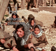 As Mulheres Palestinas