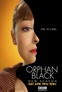 Orphan Black (2ª Temporada) - Poster / Capa / Cartaz - Oficial 5