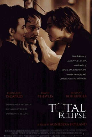 Poster 1 de Filme Eclipse de uma Paixão (1995)