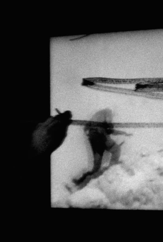 Poster 1 de Curta O, Persecuted (2014)