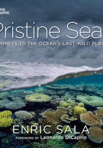 Profundezas Intocadas (Pristine Seas Cape Horn)