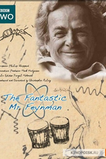 O Fantástico Sr. Feynman (The Fantastic Mr. Feynman)