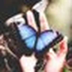 Foto de perfil de Blue Butterfly