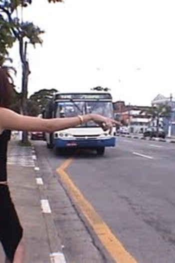 Poster de Curta Mona do Lotação (2006)