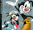 Animaniacs (1ª Temporada)