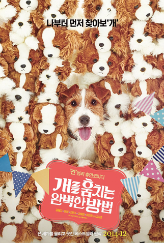 Poster 2 de Filme How to Steal a Dog (2014)