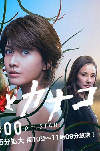 Poster de Série Naomi e Kanako (2016)