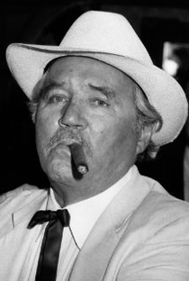 Howard Duff - Poster 1