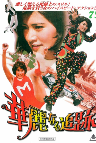 Poster 1 de Filme The Great Chase (1975)