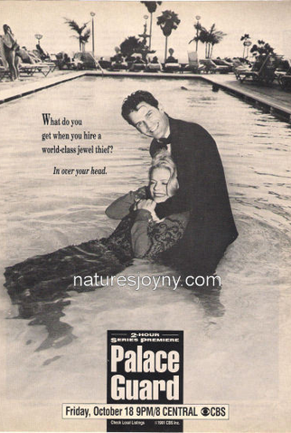 Poster 1 de Série Pega Ladrão (1991)