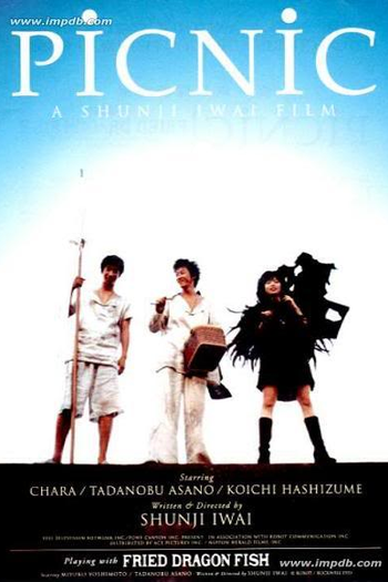 Poster de Filme Picnic (1996)
