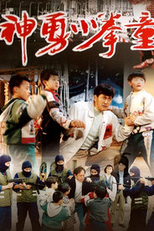 3 Kung Fu Kids (Shenyong xiao quan tong)