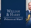 William and Harry princes at war
