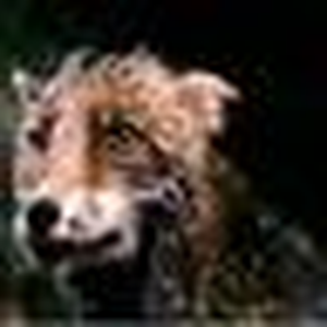 Foto de perfil de hugo